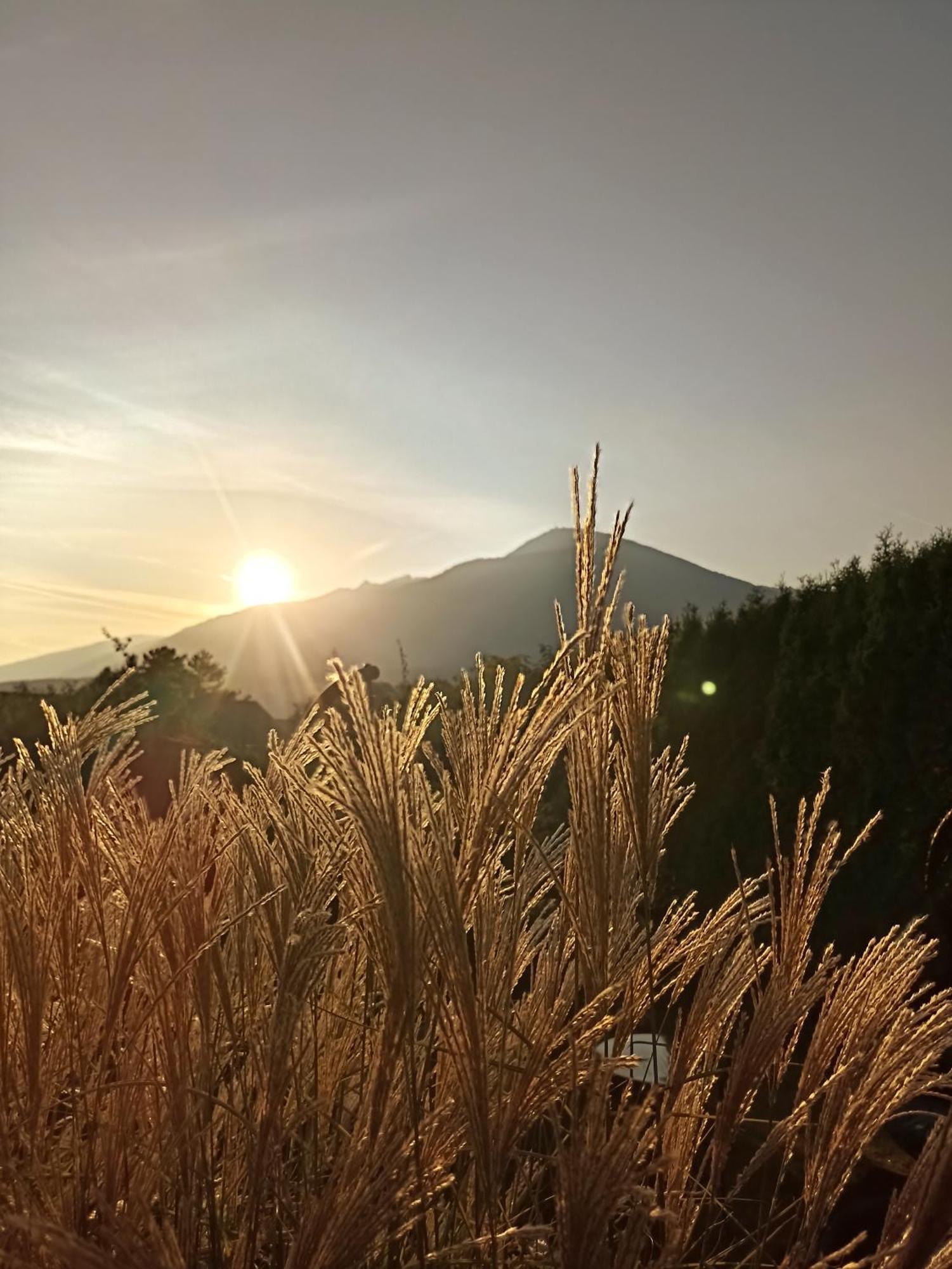Alloggio in famiglia Gaestehaus Alpenblick